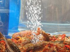 -金陵暴走龙虾·烧烤·排档(南京总店)