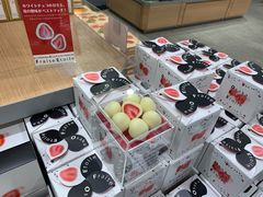 -关西国际机场直营免税店
