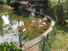 -九龙公园