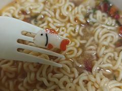 -奥体中心游泳馆