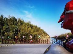 -黄海国家森林公园