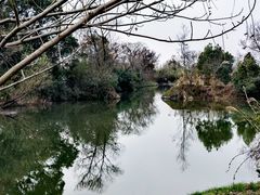 -西溪国家湿地公园