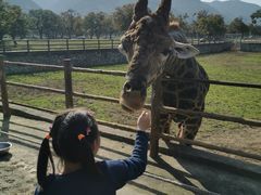 -西安秦岭野生动物园