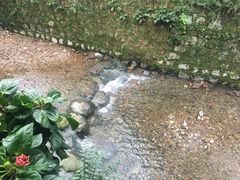 -欣怡茶庄·始于1999(梅家坞店)