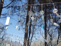 -青峰峡国家森林公园