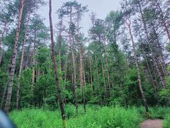 -帽儿山国家森林公园