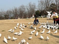 -在海一方公园