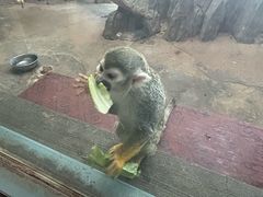 -鄂尔多斯野生动物园