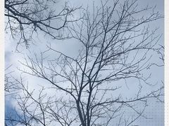 -灌篮高手动画打卡地