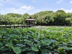 -兰亭风景区