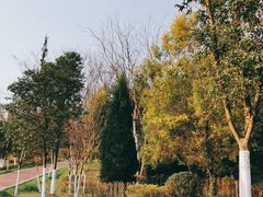 -金海湾滨江公园