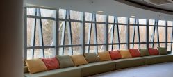-北京新世纪妇幼医院·产检·分娩·计生(望京院区)