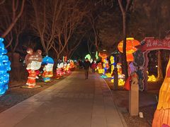 -南宫五洲植物乐园