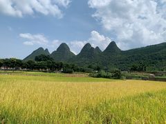 -万峰林风景区