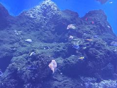 -西安华夏文旅水世界