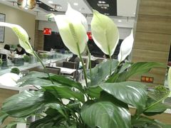 -嘉和一品粥(首经贸店)