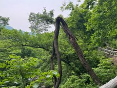 -三块石国家森林公园