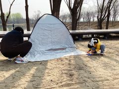 -东郊湿地公园