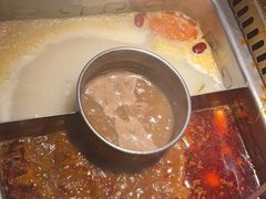 -大渝火锅(苏州西城永捷店)