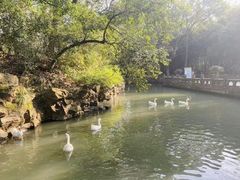-兰亭风景区