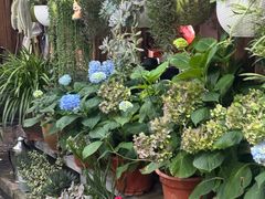 -龙姐私房菜(和顺古镇店)