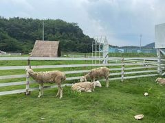 -溪口-滕头旅游景区