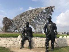 景点-南汇嘴观海公园