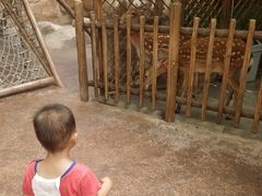 -杭州开元森泊度假乐园