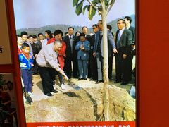 -邓小平故里