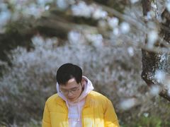 石门香雪-广州市石门国家森林公园