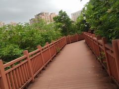 -立新湖公园