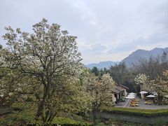 -青城山六善酒店·紫氣園中餐厅