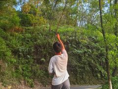 -分塔山省级森林公园