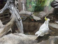 -福州罗源湾海洋世界旅游区