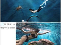 -苏州海洋馆