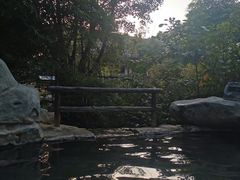 -河源客天下-温泉小镇