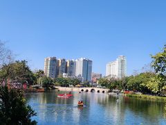 -荔湾湖公园