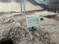 -南越王博物院(王宫展区)