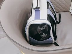 -天宠宠物医院24小时·急重症诊疗中心·全科·腔镜特色(和平分院)