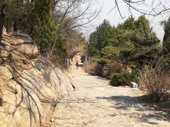 -北京鹫峰国家森林公园
