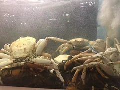 大堂-无招牌海鲜餐厅(怡丰城店)