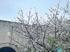 -南京城墙景区