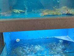 水产区-曹家大院(通州店)