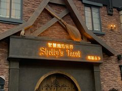 -雪灵魔法世界SHELLY’S TAROT(大良桂畔里店)