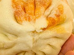 -清真石家包子(大皮院总店)