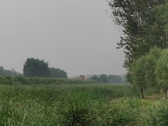 -东郊湿地公园