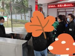 -成飞公园