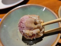 -蒙古苍狼蒙餐