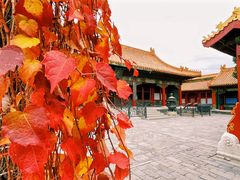 -故宫博物院(故宫)