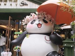 -轩客会(熊猫书店)